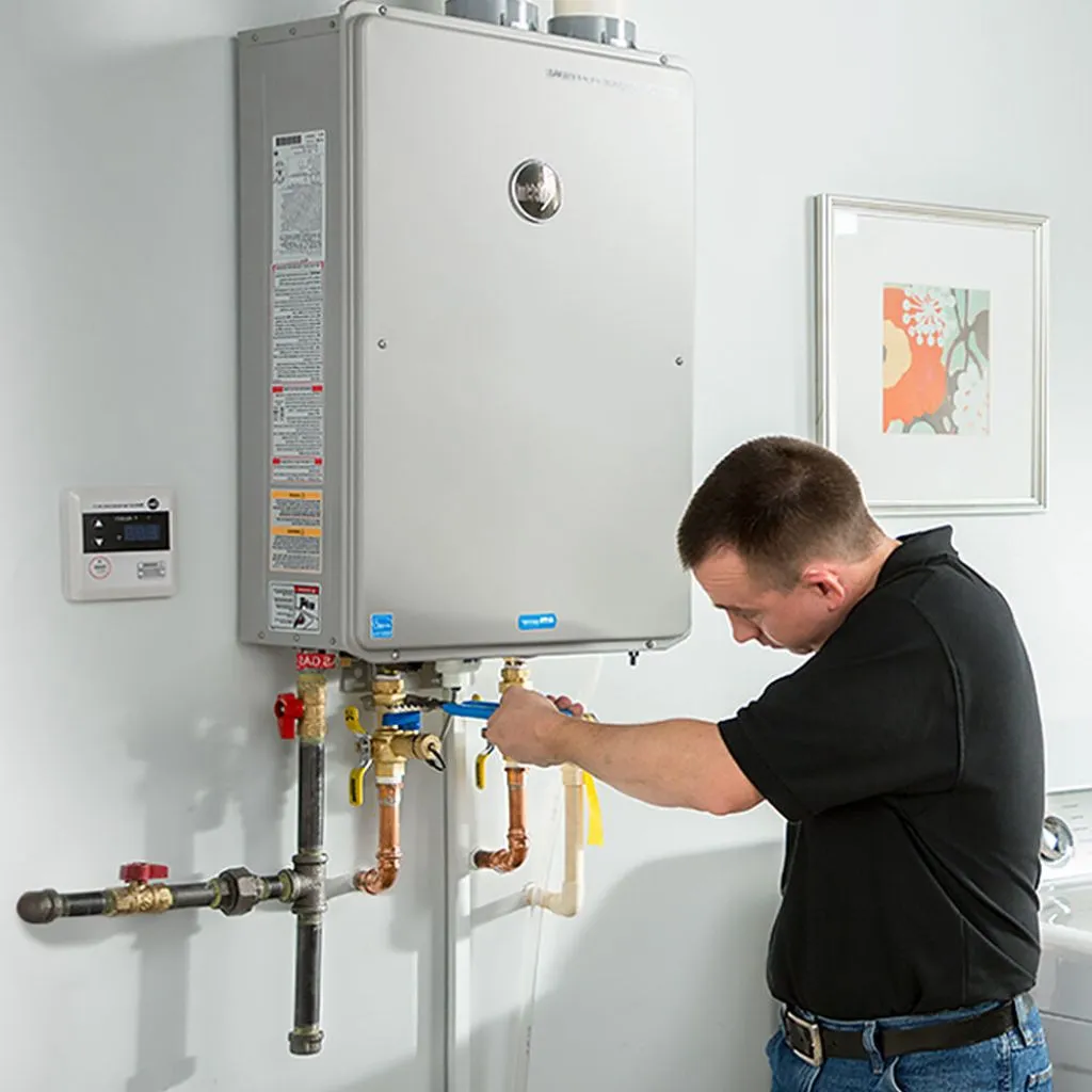 tankless water heater repair in Jenkinsville, SC